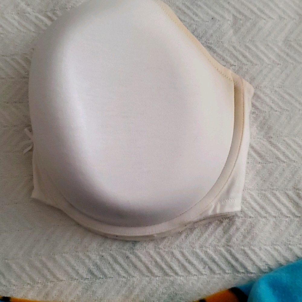 Lane Bryant Bra